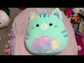 Your birth month, your squishmallow (part 2)