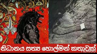 නිධානයක් ගැනීමට ගොස් වැඩ වැරදුන පිරිස | Holman katha |Holman katha sinhala | Holman katha new #nidan