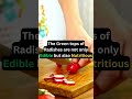 mind blowing radish facts 🌱💥 shocking truths revealed radishrevelations foodfacts shorts