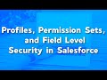 Profiles, Permission Sets, and Field Level Security in Salesforce | Object Level vs Record Level