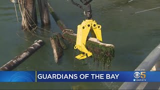 Army Corps Of Engineers Vessel Helps Keep Bay Debris Free