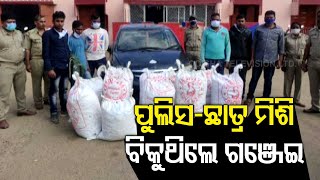 Cops \u0026 B.Tech Student Involved In Ganja Smuggling In Koraput