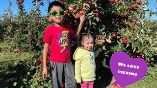 Enjoying picking Gala Apple