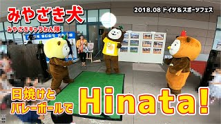 【みやざき犬】日焼けとバレーボールで「Hinata!」：ツートンカラー！？ (201807ドイツ＆スポーツフェスタ)