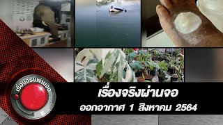 เรื่องจริงผ่านจอ 1 สิงหาคม 2564