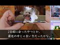 【修羅場】複数の男と交わった証拠動画を突き付け、嫁「やめてそれどうするつもり？」俺「世の男性諸君と共有かなｗｗ」直後、嫁は土下座し縋ってきたが俺は…【朗読】