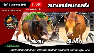 🔴 ถ่ายทอดสดวัวชน สนามกีฬาชนโคนครตรัง วันที่ 2 มกราคม 68 #ดูวัวชน #วัวชน #วัวชนตรัง