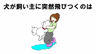 犬の不思議な可愛い行動の雑学