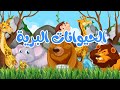 أنشودة الحيوانات البرية |  أناشيد وأغاني أطفال باللغة العربية