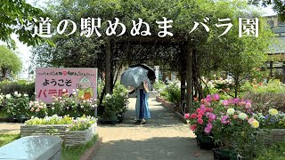 道の駅めぬま バラ園 ~春バラが満開に咲く憩いの道の駅~ 2023年5月18日撮影 : めぬまアグリパーク農産物直売所 (埼玉県熊谷市) : 4K