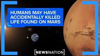 Humans may have accidentally killed life found on Mars: Astrobiologist | NewsNation