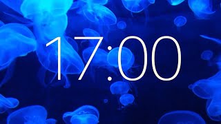17 Minute Timer with Ambient Music and Jellyfish