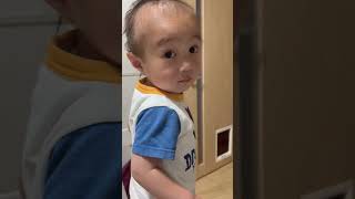 せんちゃんあっち【1歳9ヶ月】#baby #shorts