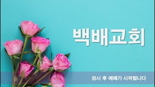 백배교회 예배실황 2021년 11월 21일 주일저녁예배(너를 버리지 아니하리라) 박형섭목사