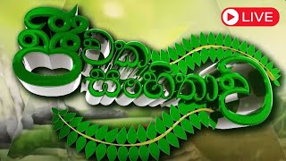 🔴පාකින්සන් රෝගයේ රෝග ලක්ෂණ සහ ඒවාට ඇති ප්‍රතිකාර ක්‍රම. 🌿🌿 | Three Vision TV