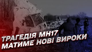 Покарання і вищого керівництва Росії вимагають родичі жертв авіакатастрофи МН17