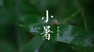 二十四节气 | 小暑 Lesser Heat