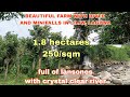 (P# 583) 1.8 hectares @ 250/sqm Farm Lot with River and minifalls in Liliw, Laguna  for sale