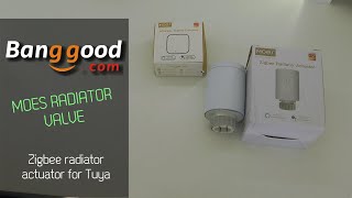 Banggood Moes Zigbee radiator valve