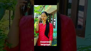 Assamese language along with synonyms