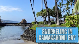 Snorkeling in Kamakahonu Bay on the Big Island of Hawaii