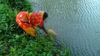 Asadharan Fishing Traditional Cast Net Fishing Village Women | Big Fishing With Cast Net