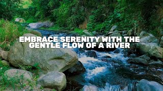 🌸 Embrace Serenity with the Gentle Flow of a River 🌿