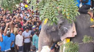 Pambadi Rajan mass entry @ Kunnamkulam Pazhanji Perunnal 2022