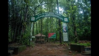 A short trip to Thattekad Bird Sanctuary, near Kothamangalam. Eranakulam District, Kerala, India.