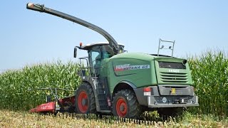 FENDT KATANA 65 | MAIS SILAGE 2016