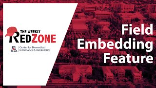 REDZone - Field Embedding Feature