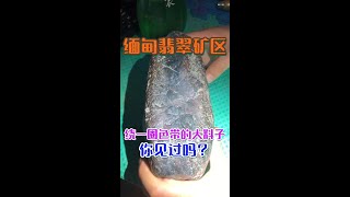 像这样绕一圈色带的大料子你见过吗？压灯看起来种老，颜色阳，太难遇到了！| 赌石 | 缅甸翡翠矿区 | 翡翠原石