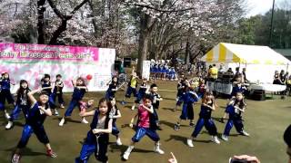 Cherry Blossom Festa 2017①キッズ