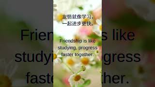 關於友情的幽默名句。#友情 #幽默名句 #友誼 #搞笑 #友誼的力量 #Friendship #motivational Quotes #Laugh #friendshippower