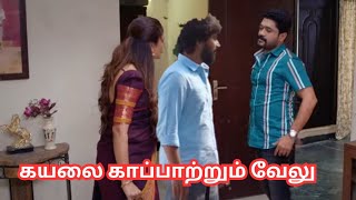 Kayal Promo review | 01 Feb  2025 |Kayal Upcoming | Kayal Serial Today Episode | Kayal Promo | கயல்