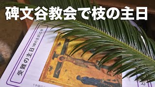 【Vlog】カトリック碑文谷教会で枝の主日