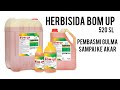 HERBISIDA BOM UP