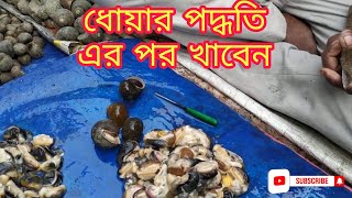 শামুকের মাংস কাটা এবং ধোয়ার পদ্ধতি, Snail cutting \u0026 cleaning process 😍 #anamay #indianfood #local