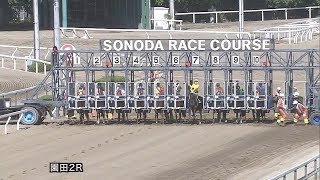 2018/06/01 園田競馬2R カンパイ（スタートやり直し）