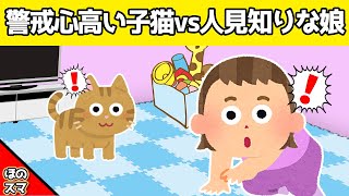 【2chほのぼの】警戒心が高い子猫と、人見知りの娘が初めて対面した結果www