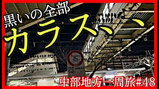 【キャンピングカー車中泊】カラスの大群が蠢く街で夜を明かす、長野県の謎エリア、諏訪【中部一周旅#48】