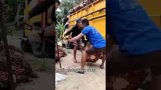 mantap kali sawitnya 70 kg