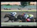 Angel Gift repeats in 2003 Golden Poppy at Bay Meadows