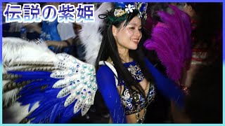 4K 美人大学生サンバ 伝説の紫姫 カーニバル ウニアンメンバー 平間銀座サマーフェスタ 2023 Japanese Samba street festival