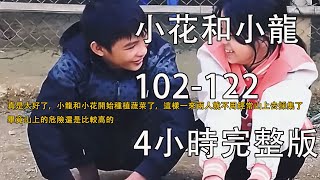 4小時完整版：真是太好了，小龍和小花開始種植蔬菜了，這樣一來兩人就不用經常山上去採集了，畢竟山上的危險還是比較高的《小花和小龍》102-122