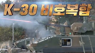 비호+신궁=K-30 SAM 비호복합