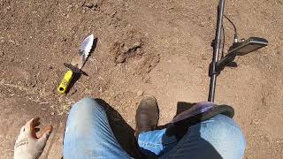 Stripped sod on the curb strip....Oh yah lets hit it!!!