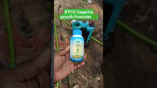 Iffco Sagarika Plant Growth Promoter 💲💵 #sagrika #iffco #shortvideo #shortsfeed #farming #youtube