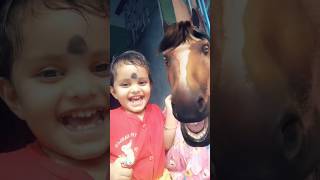 Horse 🐎🐴#funny #shorts  funny video