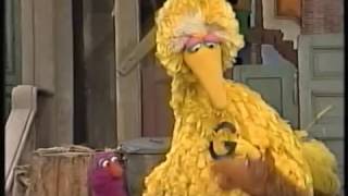 My Sesame Street Home Video Learning About Letters